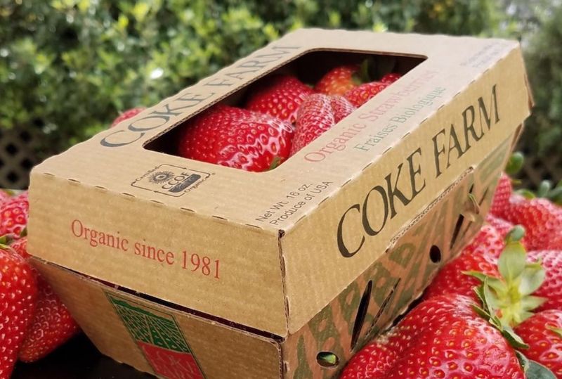 “Recyclable Packaging” – Coke Farm
